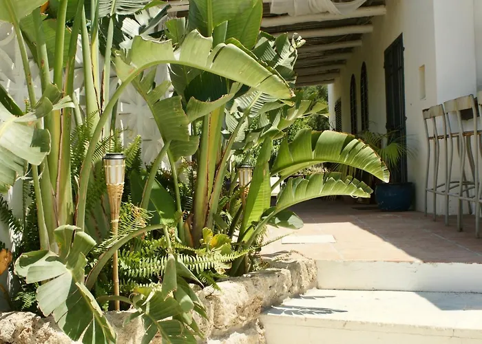 Finca Mil Estrellas Alhaurín el Grande