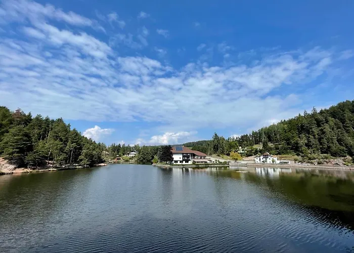 Hotel Am Wolfsgrubenersee