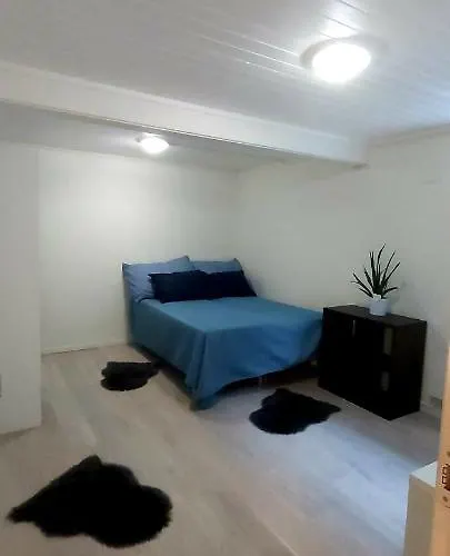 Aurora Rooms In Shared Apartment Nr1 We Are Doing Privet Northen Light Trip, Reindeer Trip And Sommaroy Fjord Trip