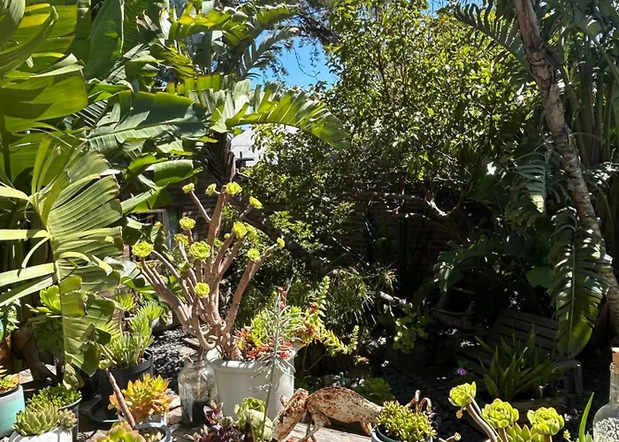 Aloha Lodge