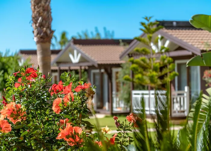 Sedir Park - Beach Bungalow Kargıcak
