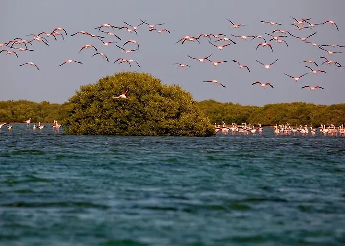 Flamingo Beach Hotel Umm al-Qaiwain
