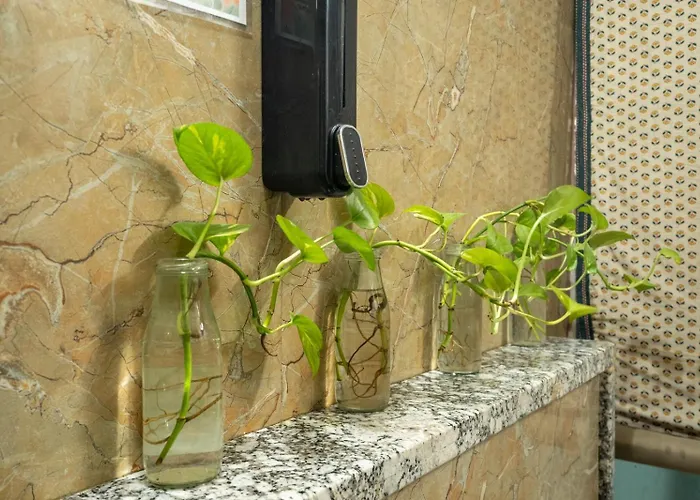 Anandmai - Sustainable Living Spaces