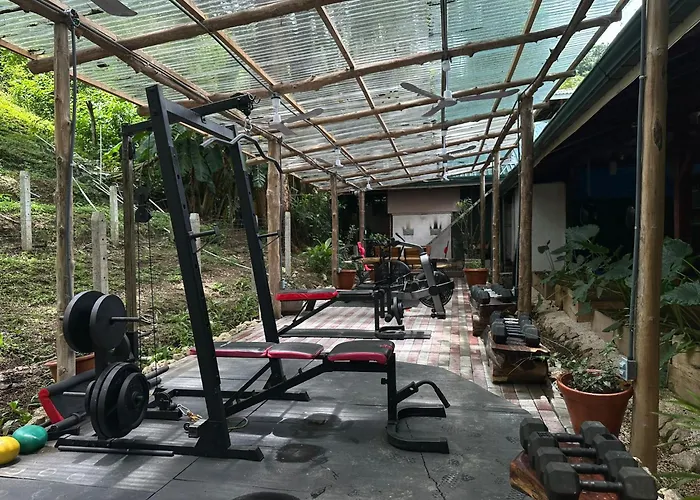 Jungles Edge Hotel, Jiu Jitsu, Muay Thai Retreat Center