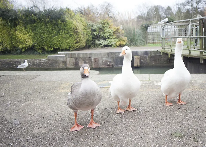 Mercure Oxford Hawkwell House Hotel