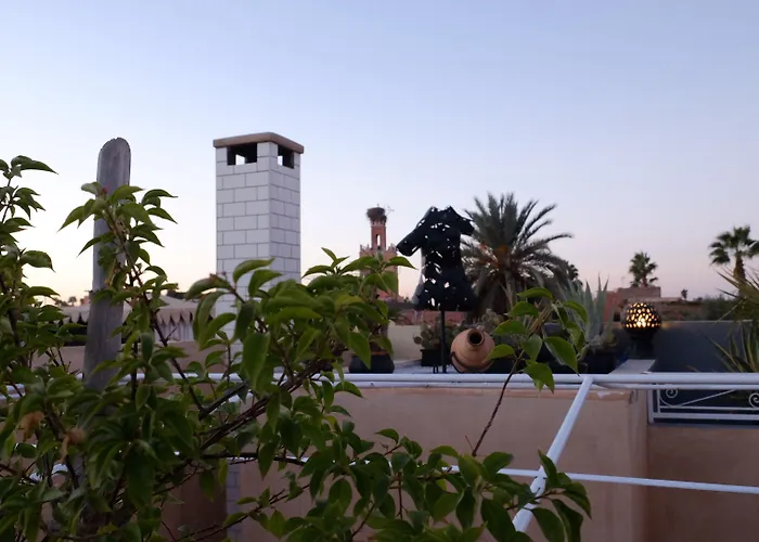 Riad Nafis