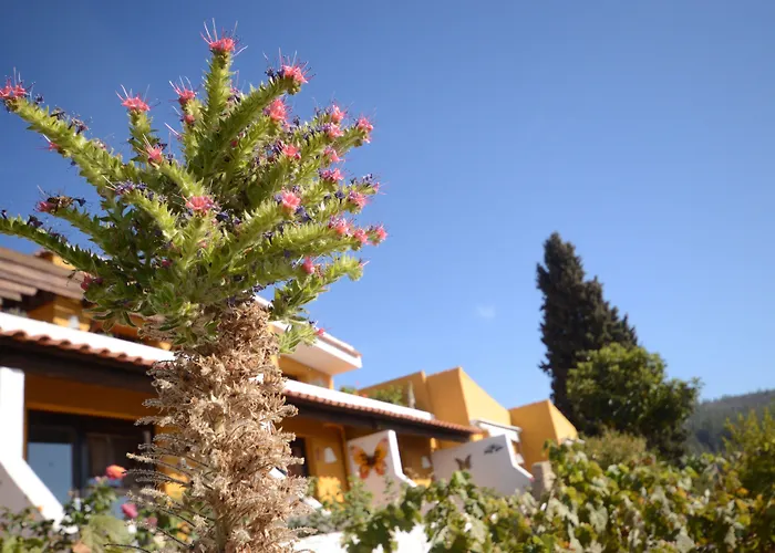 Hotel Alta Montaña