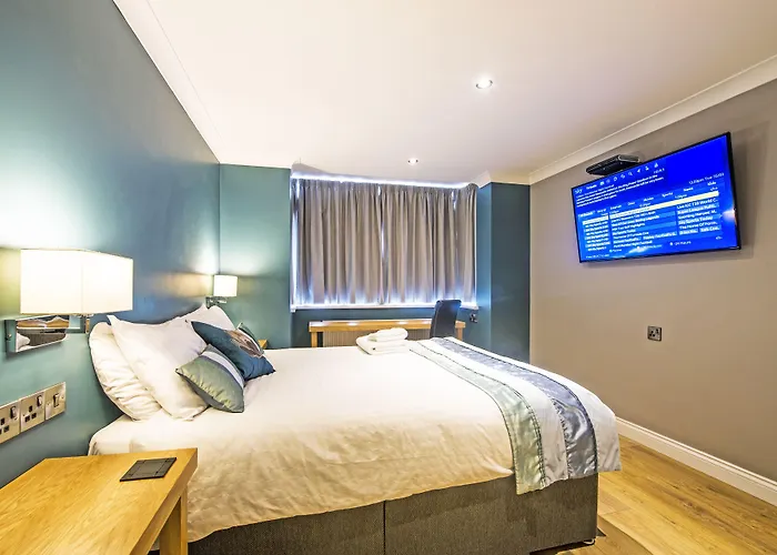 Dolphin Rooms