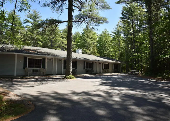 Acadia Pines Motel