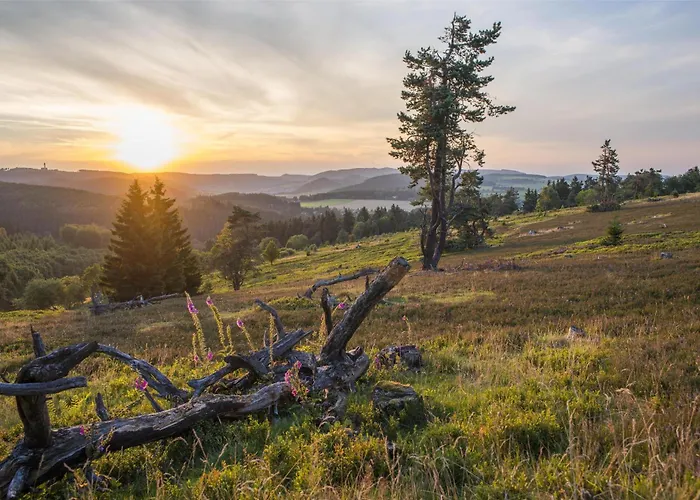 Mountain View Hotel Willingen, BW Signature Collection