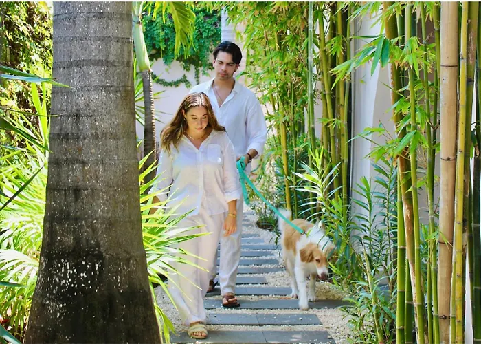 Pachamaya Holistic Wellness Boutique Hotel & Spa - Adults Only
