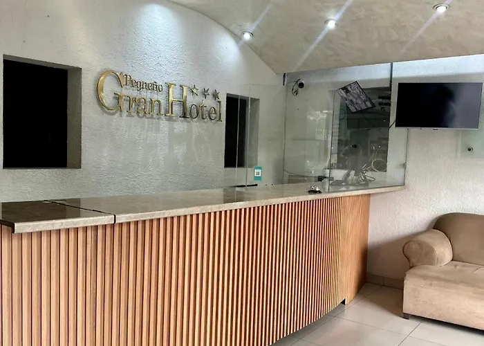 Pequeno Gran Hotel Aguascalientes