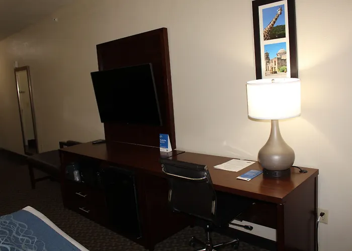 Comfort Inn & Suites Near Six Flags & Medical Center San Antonio