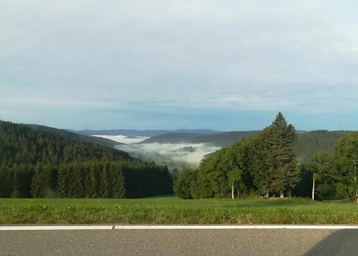 Schwarzwaldgasthaus Salenhof