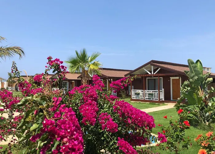 Sedir Park - Beach Bungalow Kargıcak